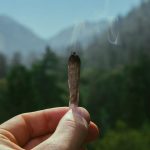 DRY HERB VAPORIZERS