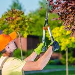 Colorado crisis care
